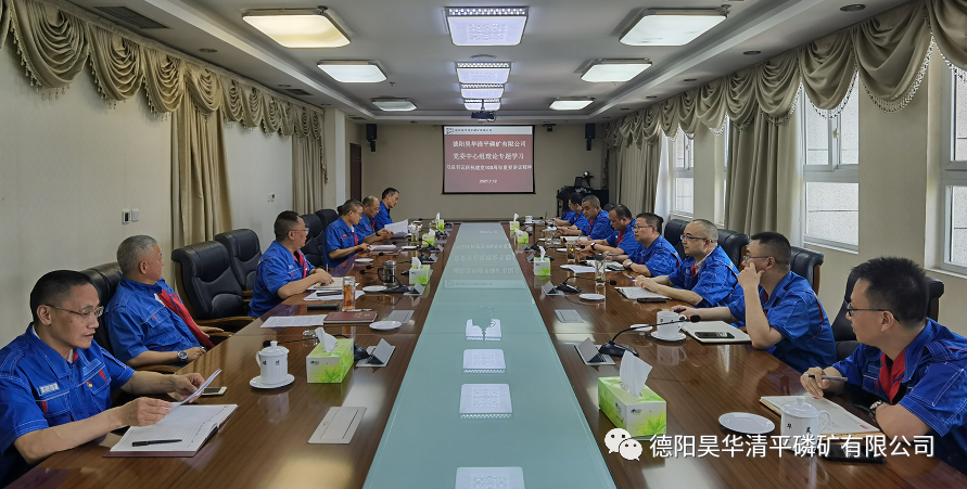 公司党委专题学习习近平总书记庆祝建党100周年等系列重要讲话精神