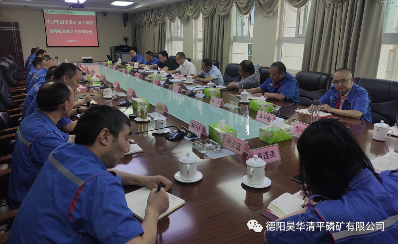 市国资委党委书记、主任张 滔一行赴公司督导检查