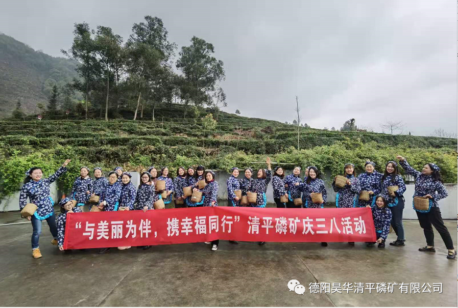 巾帼跟党走，奋进新征程 ——公司开展庆三八系列活动