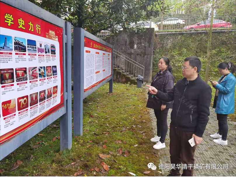 公司党委党史学习教育督导组扎实开展督导工作