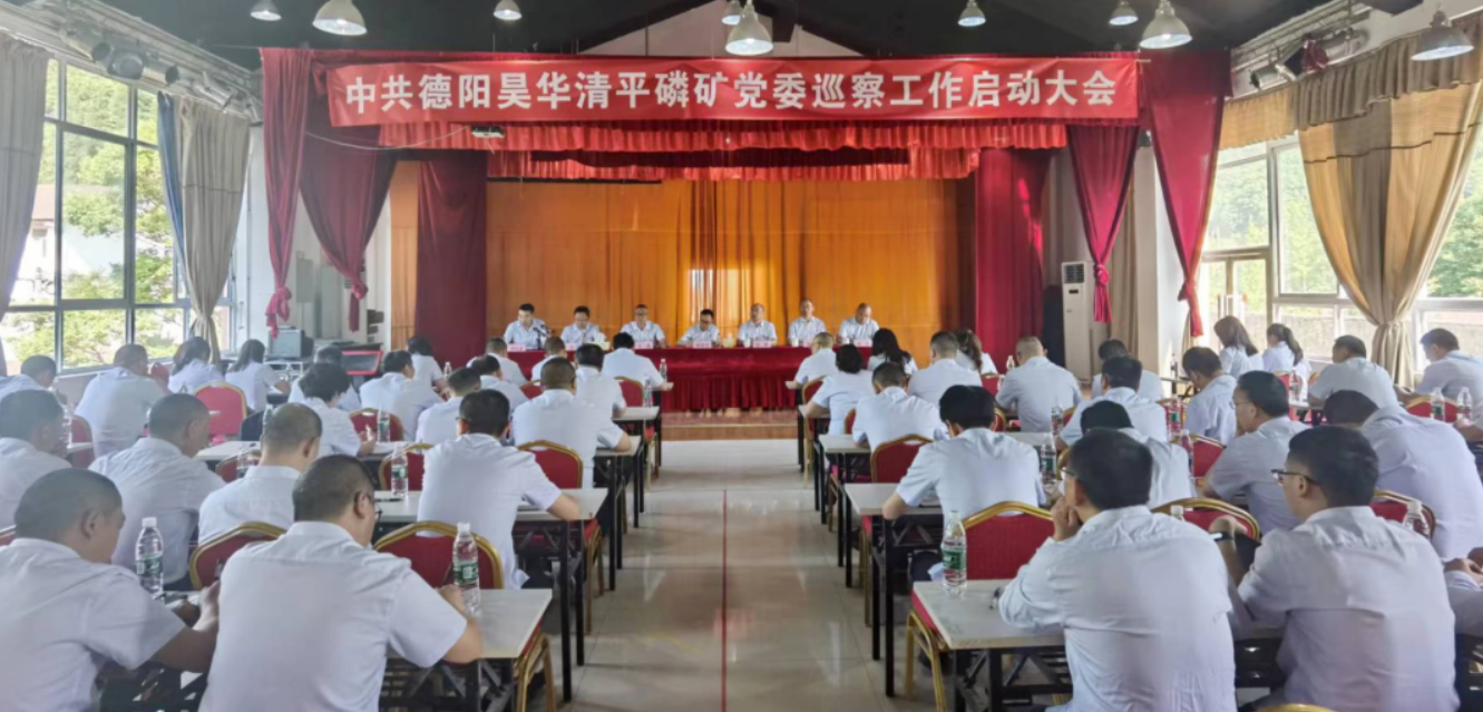 公司党委对矿业分公司开展巡察工作