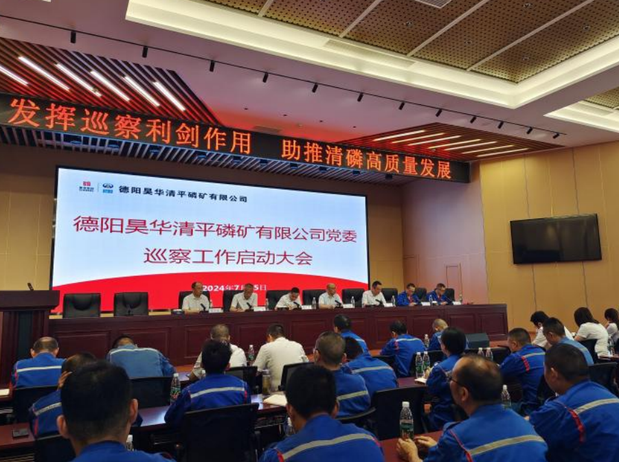 公司召开党委巡察工作启动大会